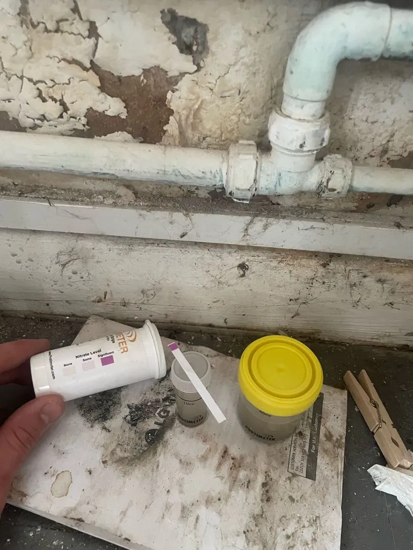 On-site salts analysis